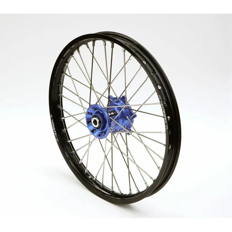 dr-rider-120260925021042291269