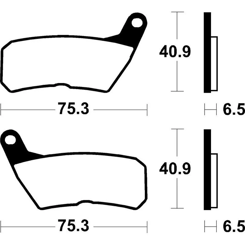 dr-rider-120260925030015303324