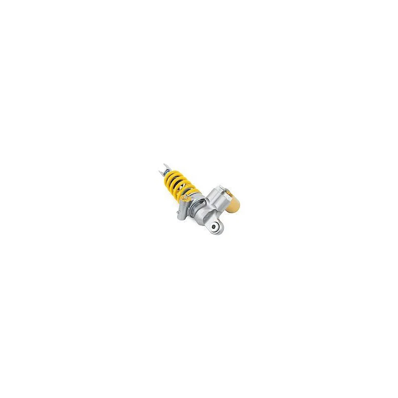dr-rider-120260925183319462115