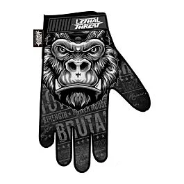ksmotorcycles-620260925201907481112